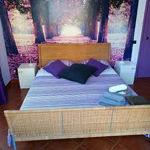 Nocleg ze śniadaniem Claudia A Monteverde, Rzym